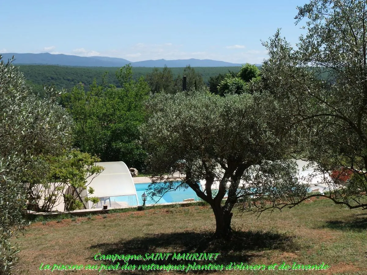 Campagne Saint Maurinet Villa Montmeyan Holiday home